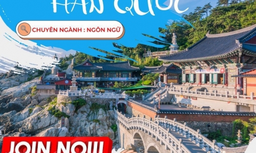 LỰA CHỌN NGÀNH NGHỀ NÀO ĐỂ ĐƯỢC LÀM VIỆC LÂU DÀI TẠI HÀN QUỐC ????